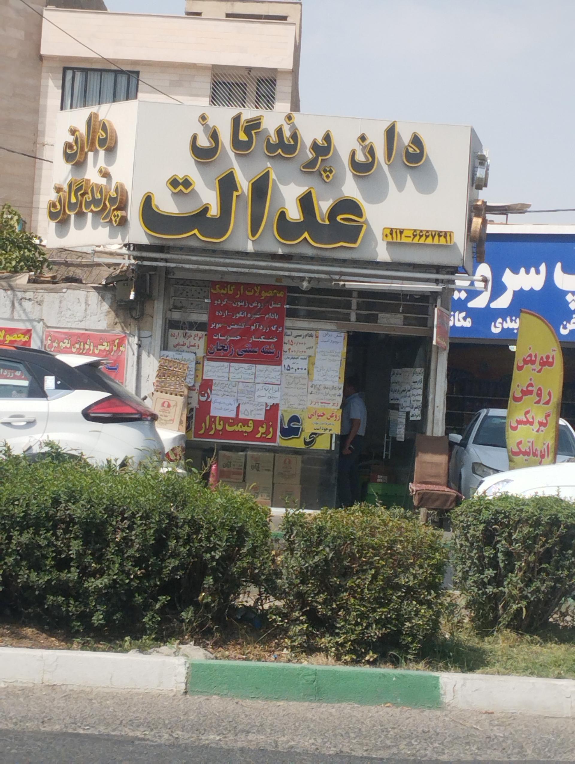 عکس دانه پرنده عدالت