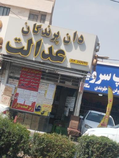 عکس دانه پرنده عدالت