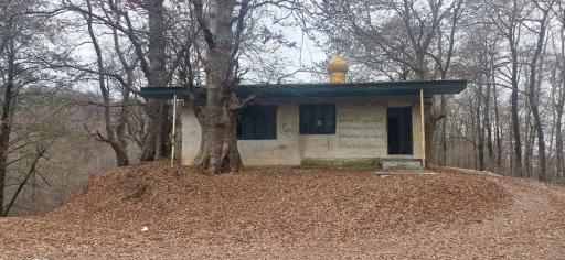 عکس امام زاده قاسم