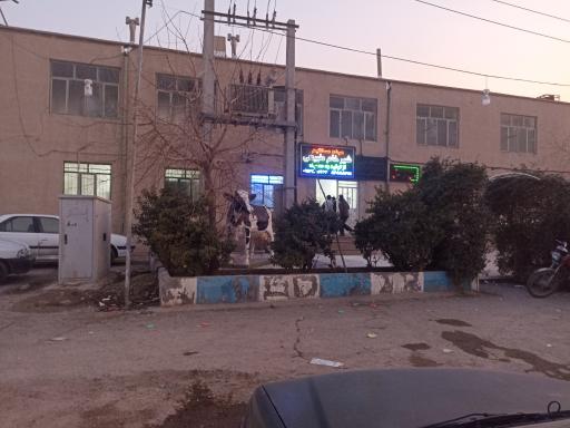 عکس دامداری ندیمی