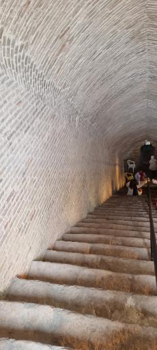 عکس نوش آباد