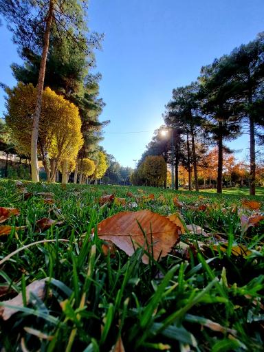 عکس پارک ملت