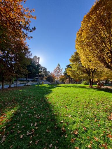 عکس پارک ملت