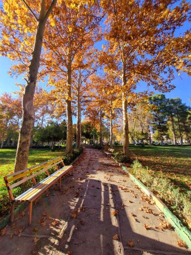 عکس پارک ملت