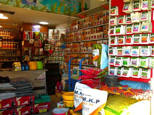 عکس فروشگاه کشت و صنعت زیتون