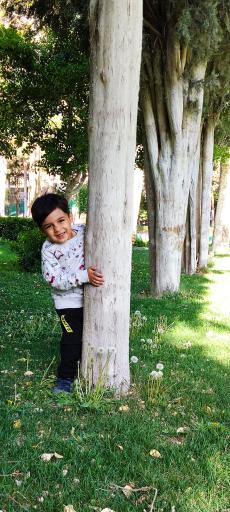 عکس پارک ملت