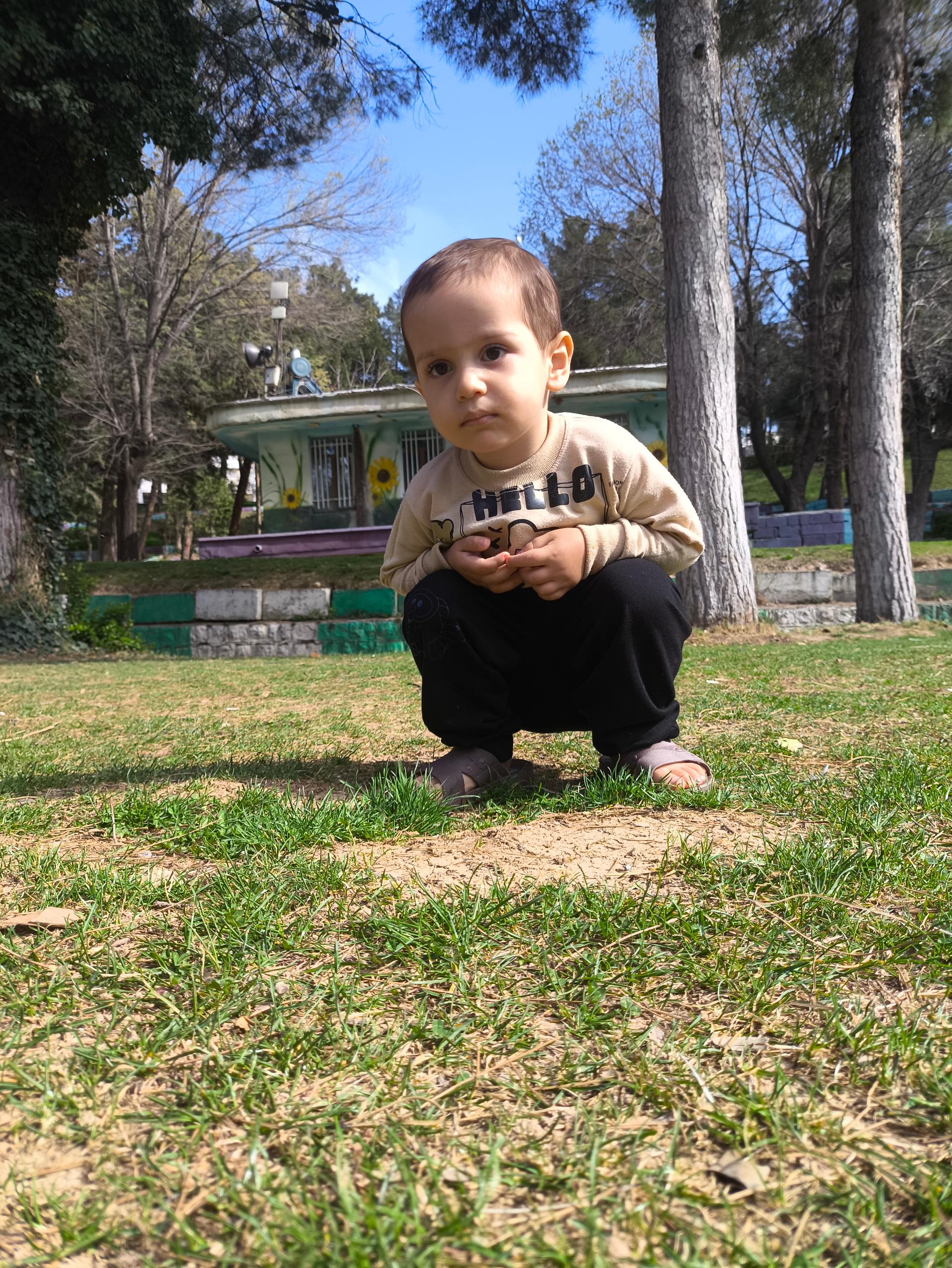 عکس پارک ملت