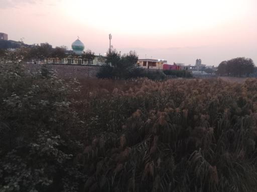 عکس پارک ملت نکا