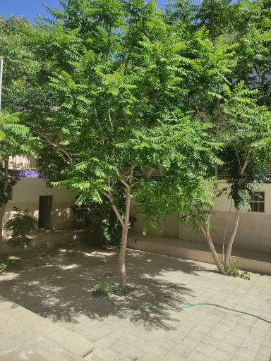 عکس حوزه علمیه علی بن الحسین ع