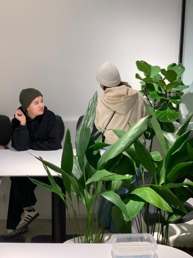 عکس فست فود ویرو