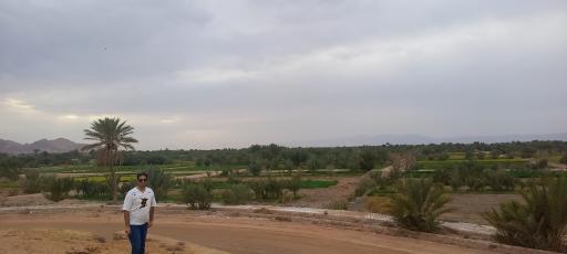 عکس بوستان سرتل