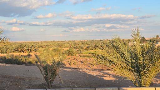 عکس بوستان سرتل