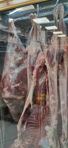 عکس پروتئین نشاط