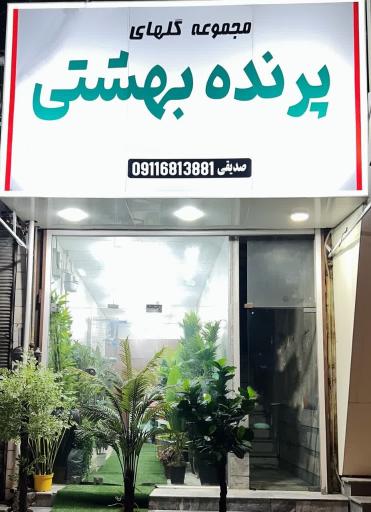 عکس مجموعه گلهای پرنده بهشتی 