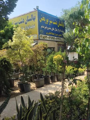 عکس نهالستان دشت سبز نوربخش