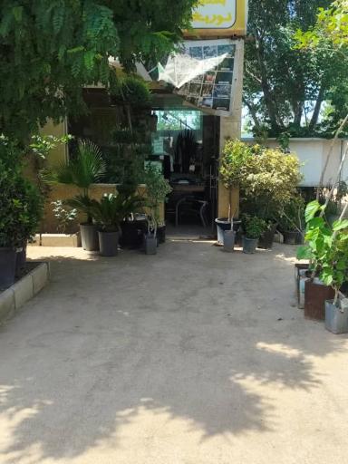 عکس نهالستان دشت سبز نوربخش