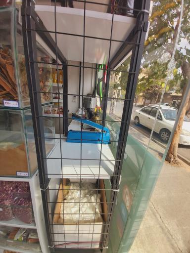 عکس گیاهان دارویی آیه