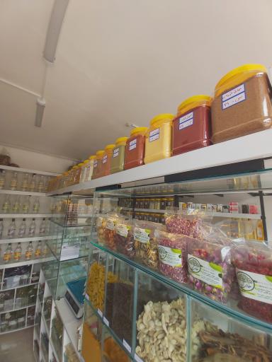 عکس گیاهان دارویی آیه