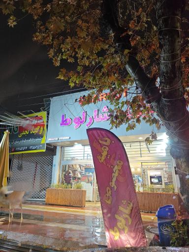 عکس شیرینی شارلوط