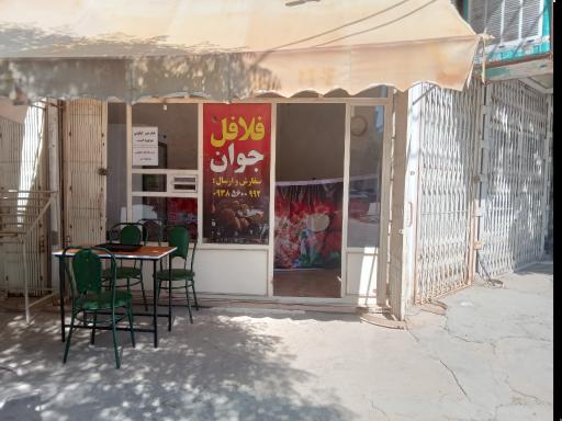 عکس فلافلی جوان