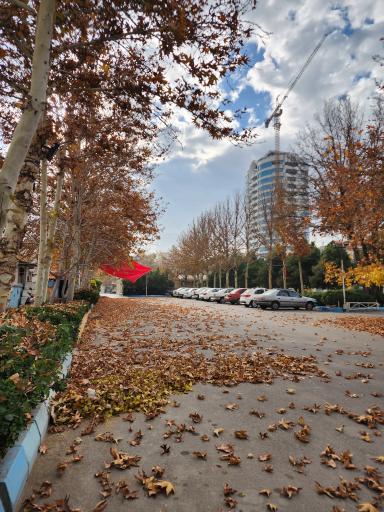 عکس موسسه جوانان آستان قدس رضوی