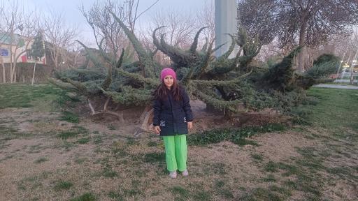 عکس پارک الغدیر