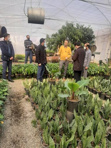 گل و گیاه حسینی