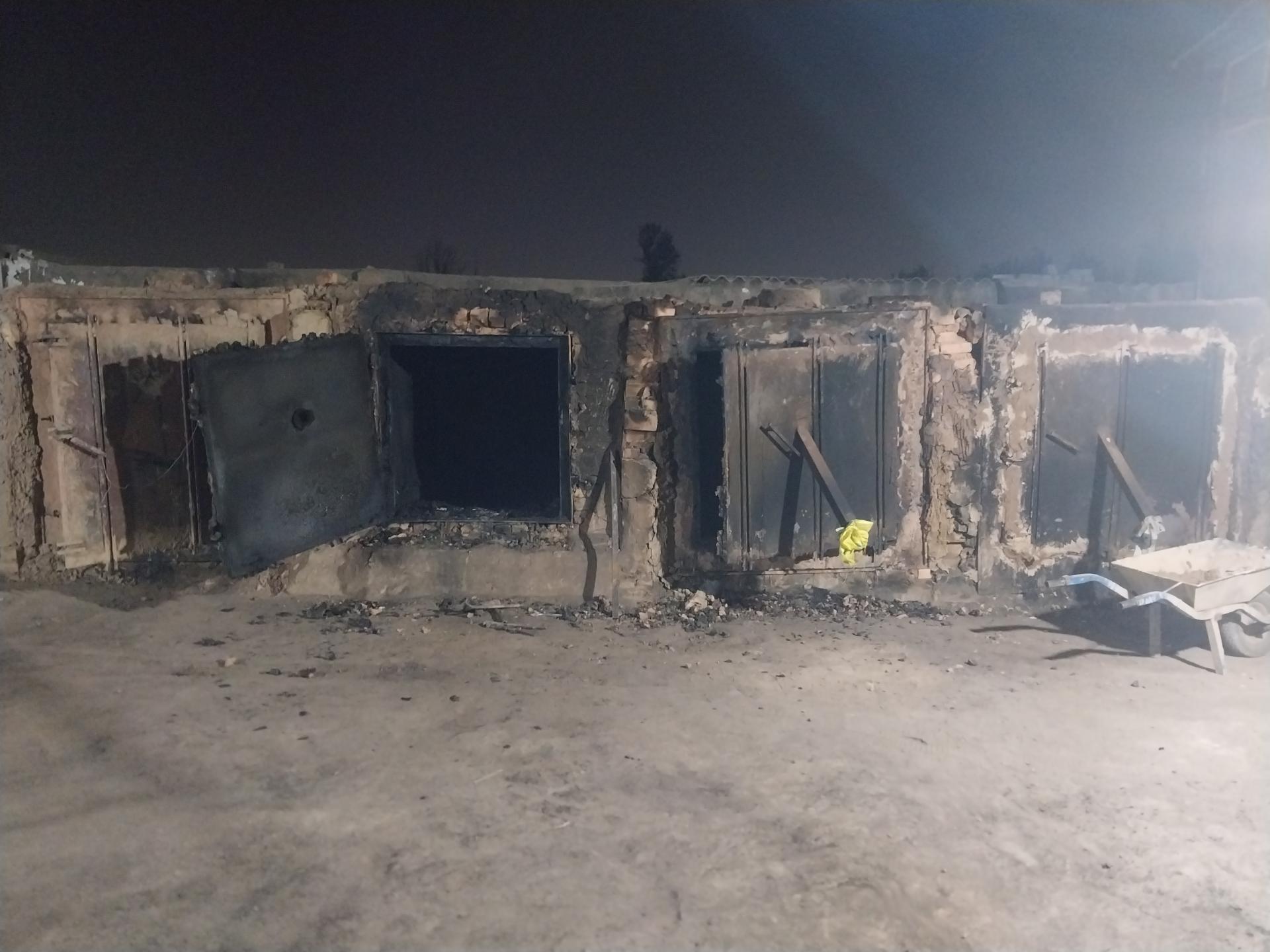 عکس زغال گلپا گرما