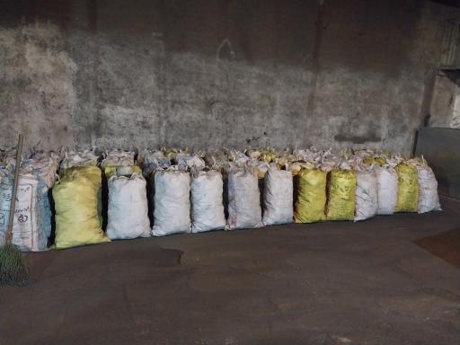 عکس زغال گلپا گرما