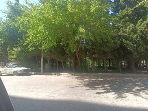 عکس فضای سبز