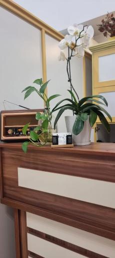 عکس فیزیوتراپی رسا