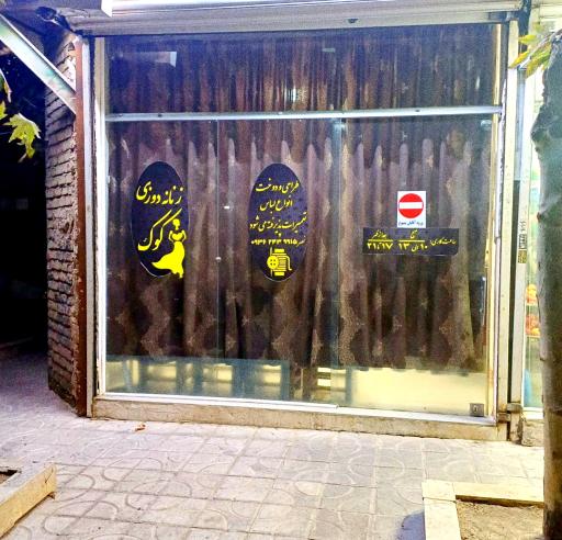 عکس زنانه دوزی کوک