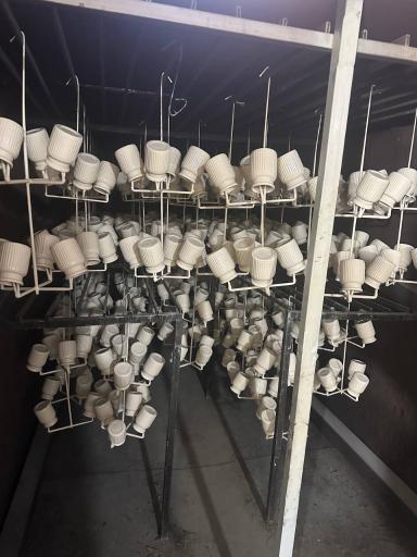 عکس امیران لوکس