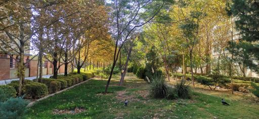 عکس فضای سبز