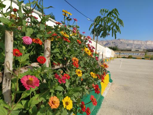 عکس مدرسه شهید مطهری 