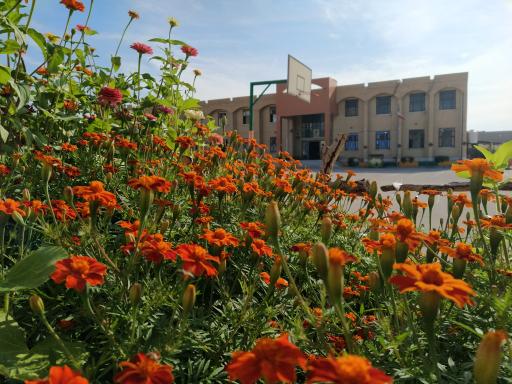 عکس مدرسه شهید مطهری 