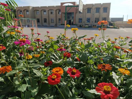 عکس مدرسه شهید مطهری 