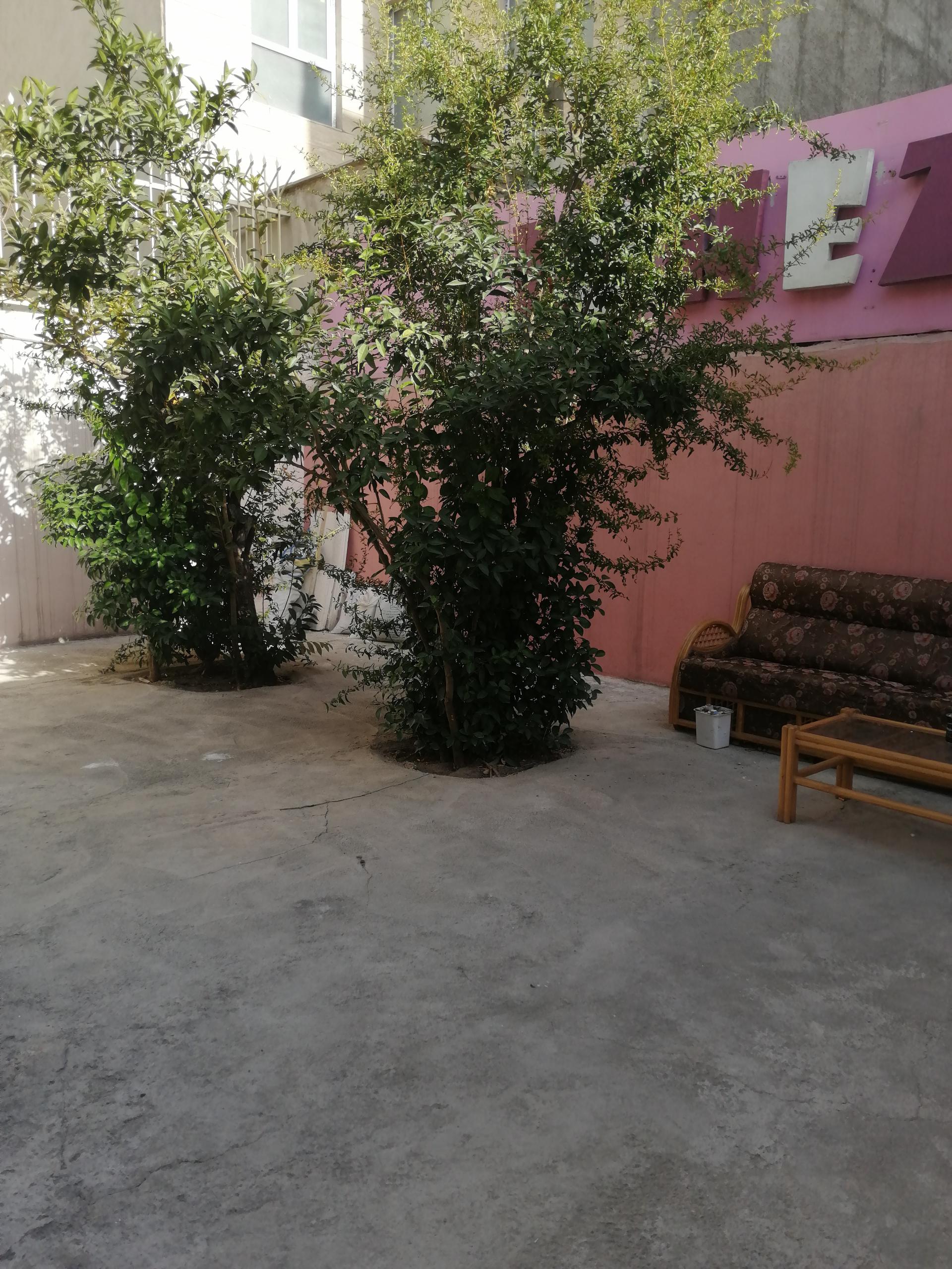 عکس خوابگاه پیامبر 