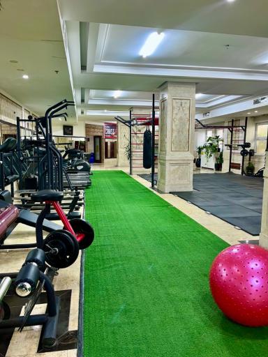 عکس باشگاه ورزشی وی آی پی پلاس