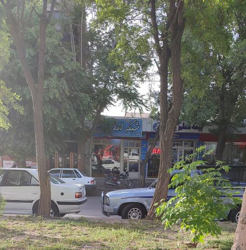 عکس املاک آرین ( شیری )