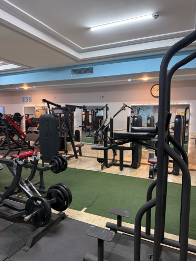 عکس باشگاه ورزشی وی آی پی پلاس