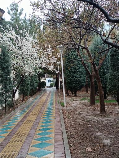 عکس بوستان خیابان ۲۰۶