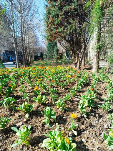 عکس بوستان خیابان ۲۰۶