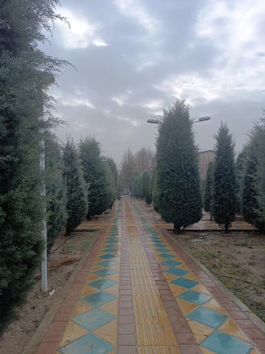 عکس بوستان خیابان ۲۰۶
