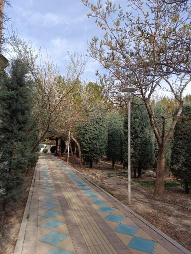 عکس بوستان خیابان ۲۰۶