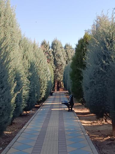 عکس بوستان خیابان ۲۰۶