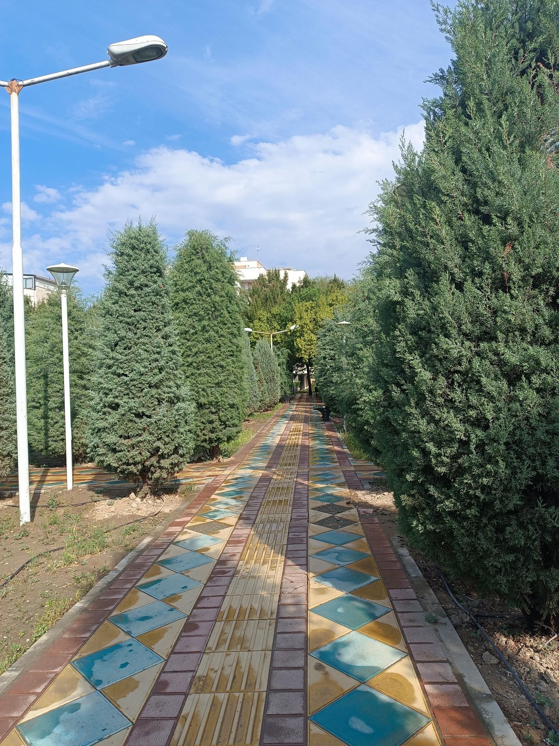 عکس بوستان خیابان ۲۰۶