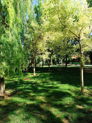 عکس بوستان خیابان ۲۰۶