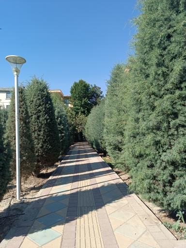 عکس بوستان خیابان ۲۰۶
