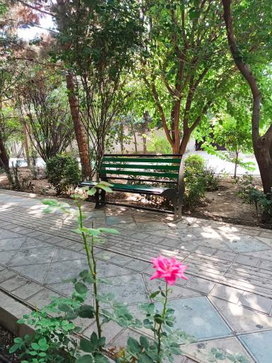 عکس بوستان خیابان ۲۰۶